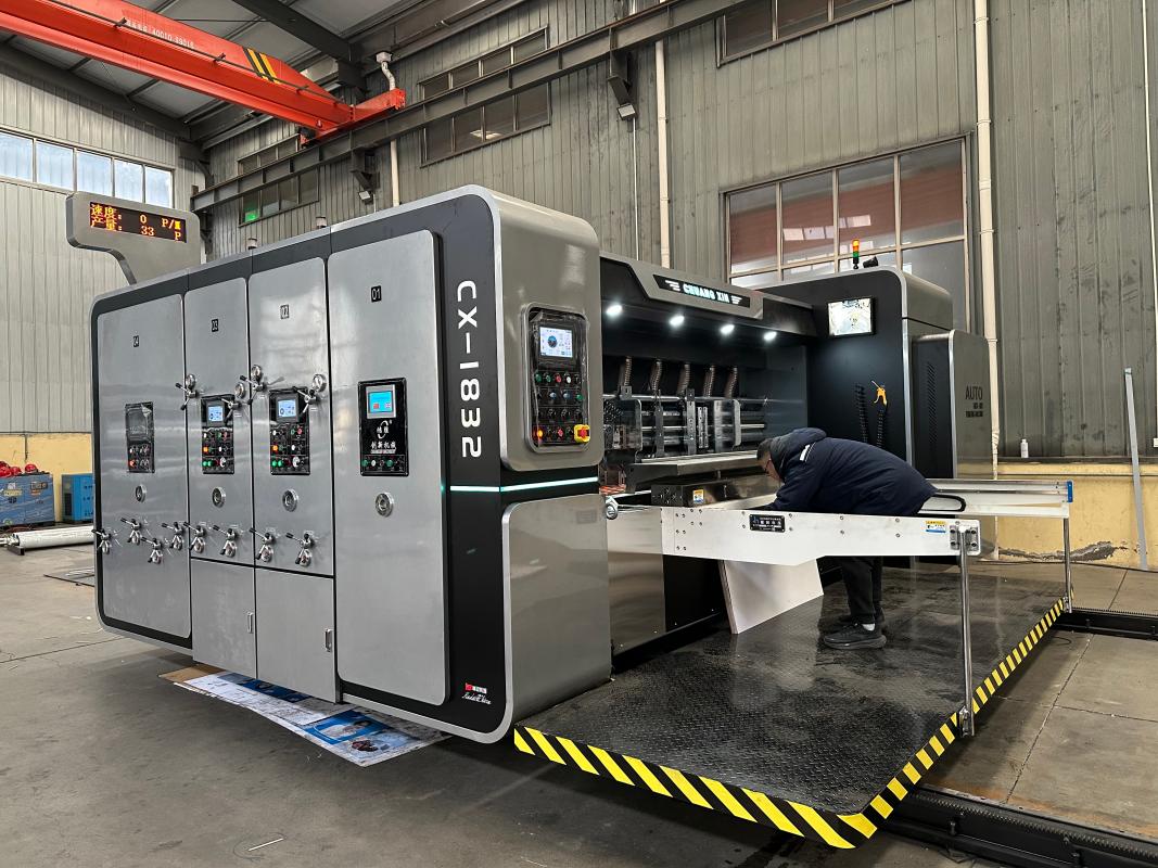 Large Carton Packaging Machinery Solution for Mexico.jpg